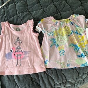 Girls' Pink Flamingo and Floral Tops Set